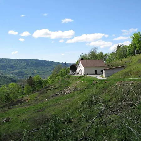 Jaccuzi,sauna,piano,fireplace,fiber,view , Quiet * Le Thillot