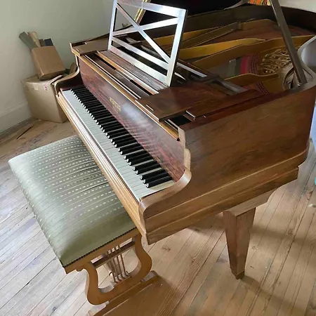 Jaccuzi,sauna,piano,fireplace,fiber,view , Quiet Le Thillot