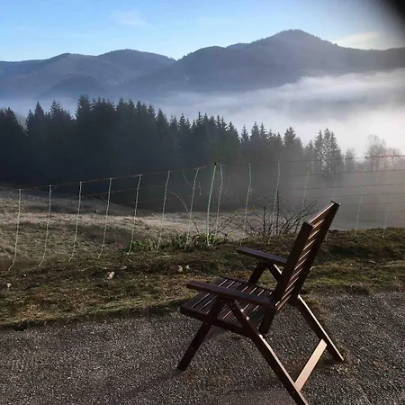 Jaccuzi,sauna,piano,fireplace,fiber,view , Quiet